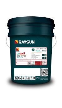 RAYSUN LEO DX9 